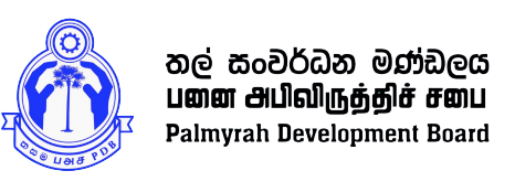 Palmyrah